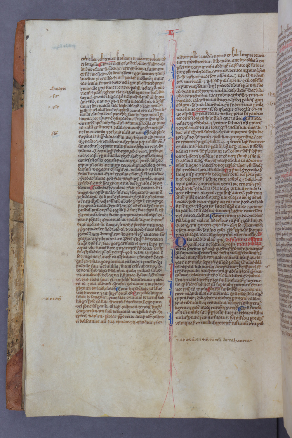 Folio 76 verso